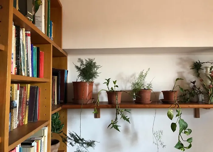 Lizartgarden Panoramic Hospedagem domiciliar
