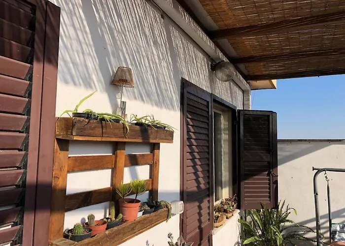 Lizartgarden Panoramic