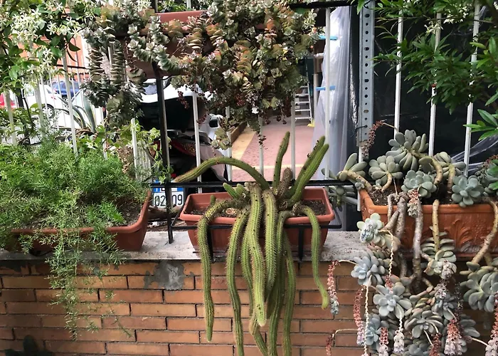Lizartgarden Panoramic Roma